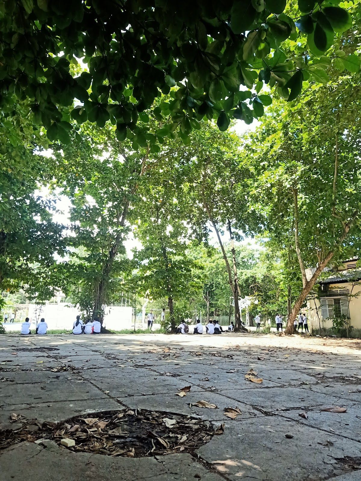 Sân Cầu Lông ĐHCT 8