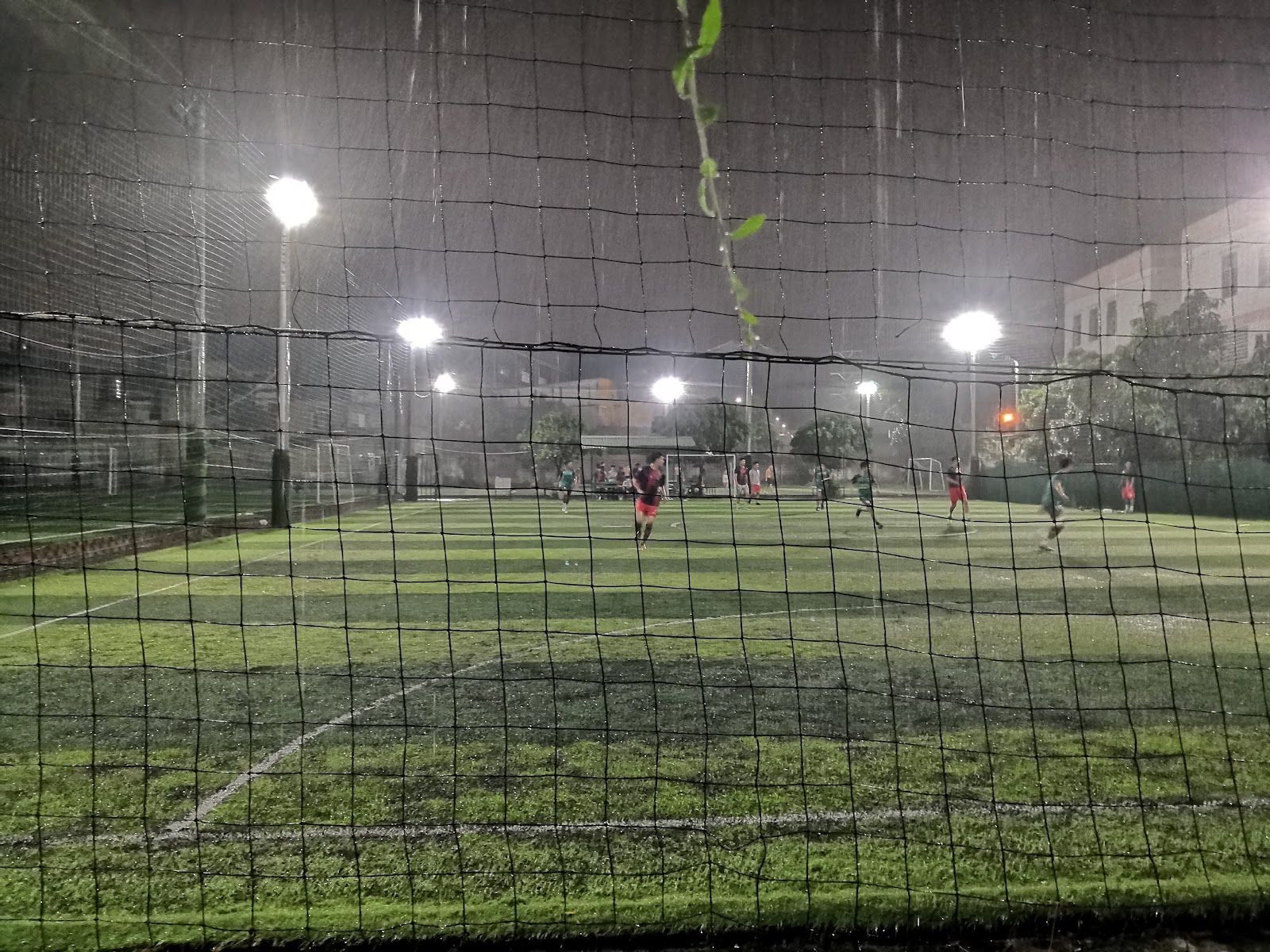 SÂN CICILIA PICKLEBALL & FOOTBALL 9