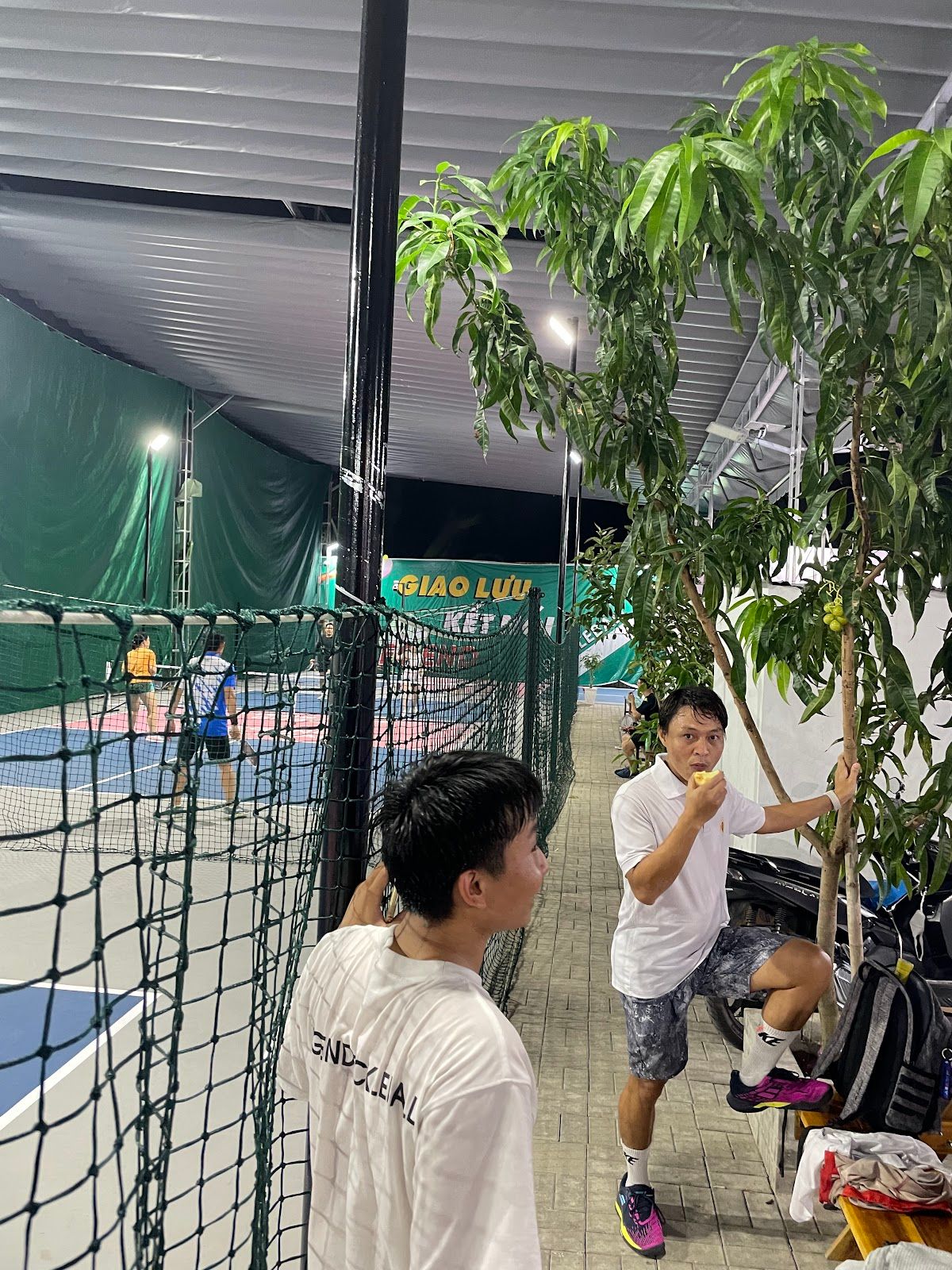 Sân Legend Pickleball 9