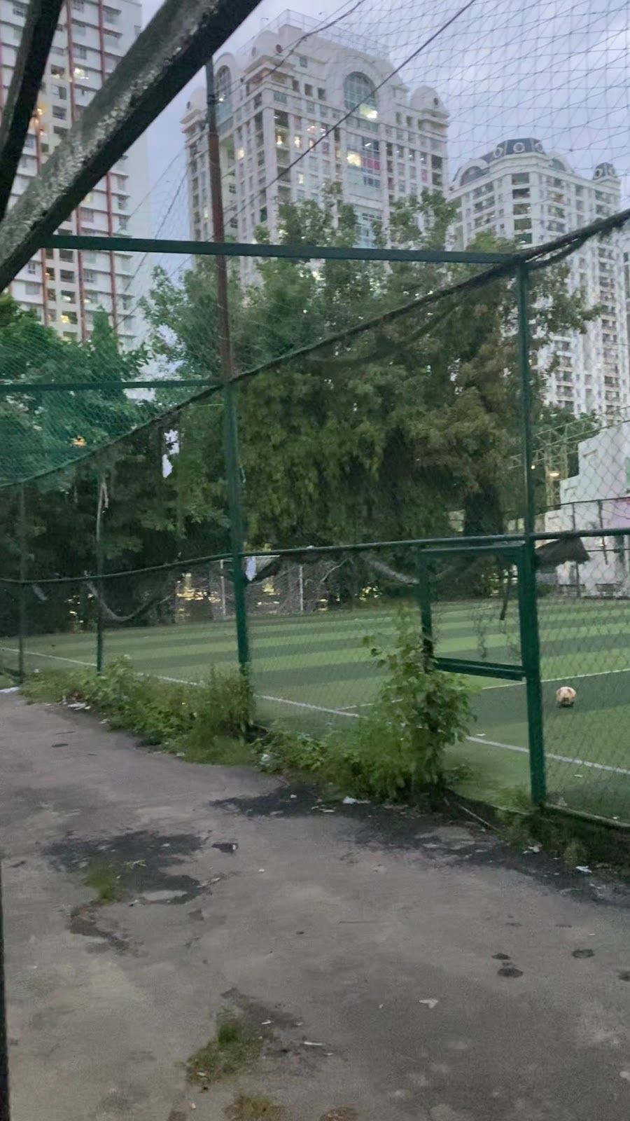 Sân Pickleball CLB bơi lặn Phú Thọ 5