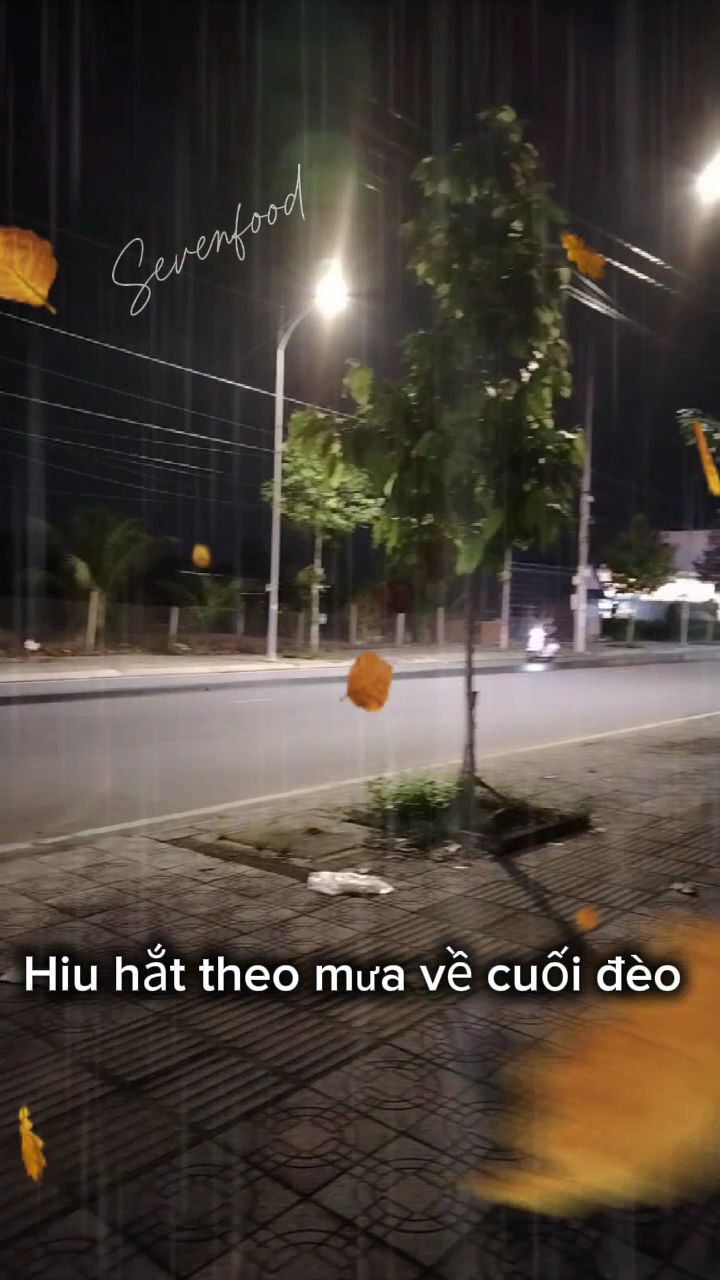 Sân Pickleball Phước Thành IV 1