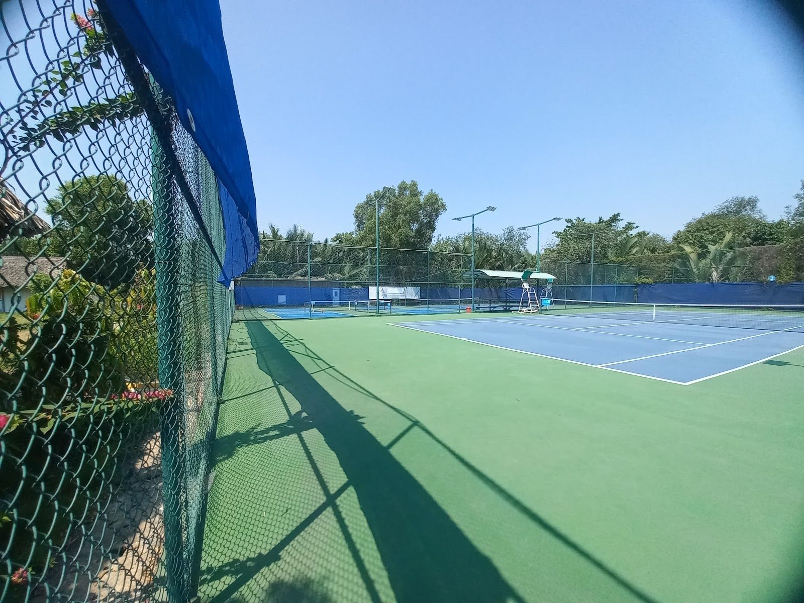SÂN TENNIS & PICKLE BALL GÒ CÁT 1