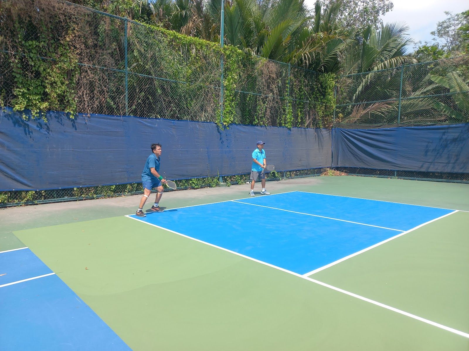 SÂN TENNIS & PICKLE BALL GÒ CÁT 2