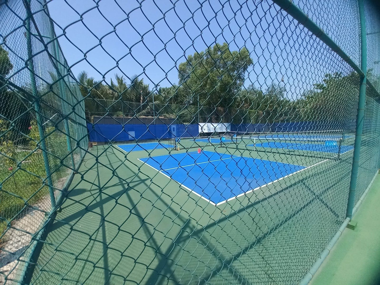 SÂN TENNIS & PICKLE BALL GÒ CÁT 5