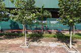 Sân Tennis & Pickleball Hiệp Thành 5
