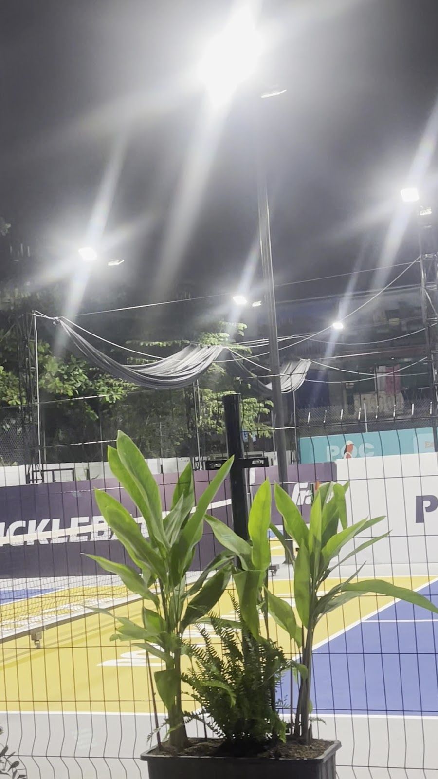 Sân thể thao POC Pickleball Kiến Thiết 7