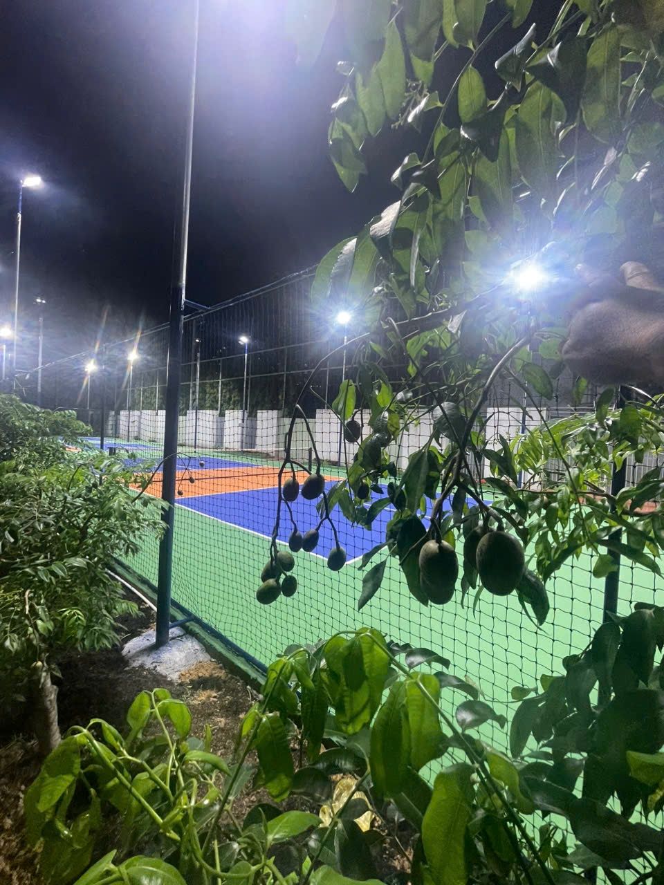 Tân An Huy Pickleball 4