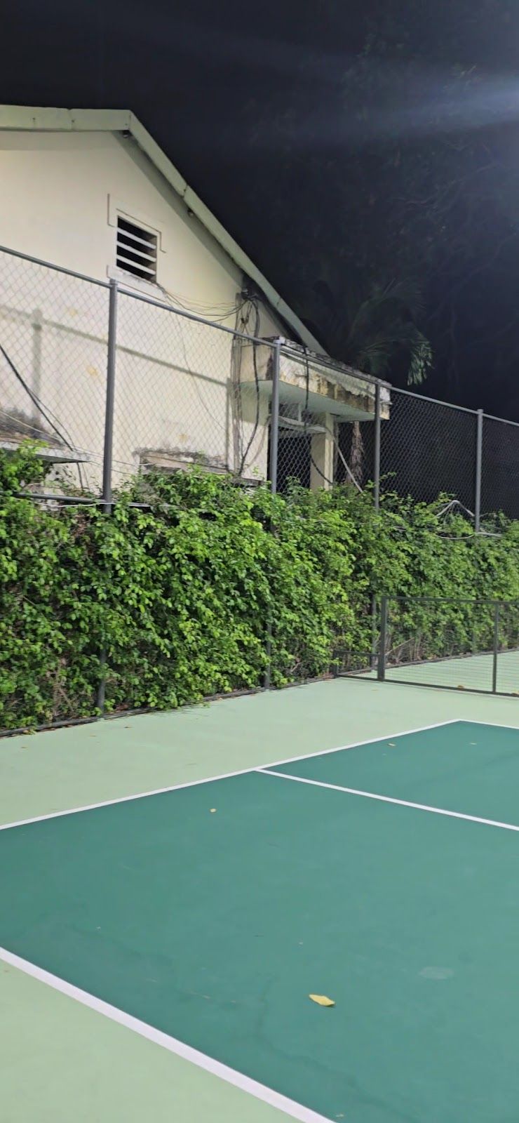 VIETSTAR PICKLEBALL CLUB | Tân Bình 1