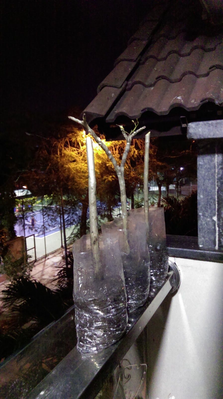 Sân big pickleball hiệp bình chánh 7