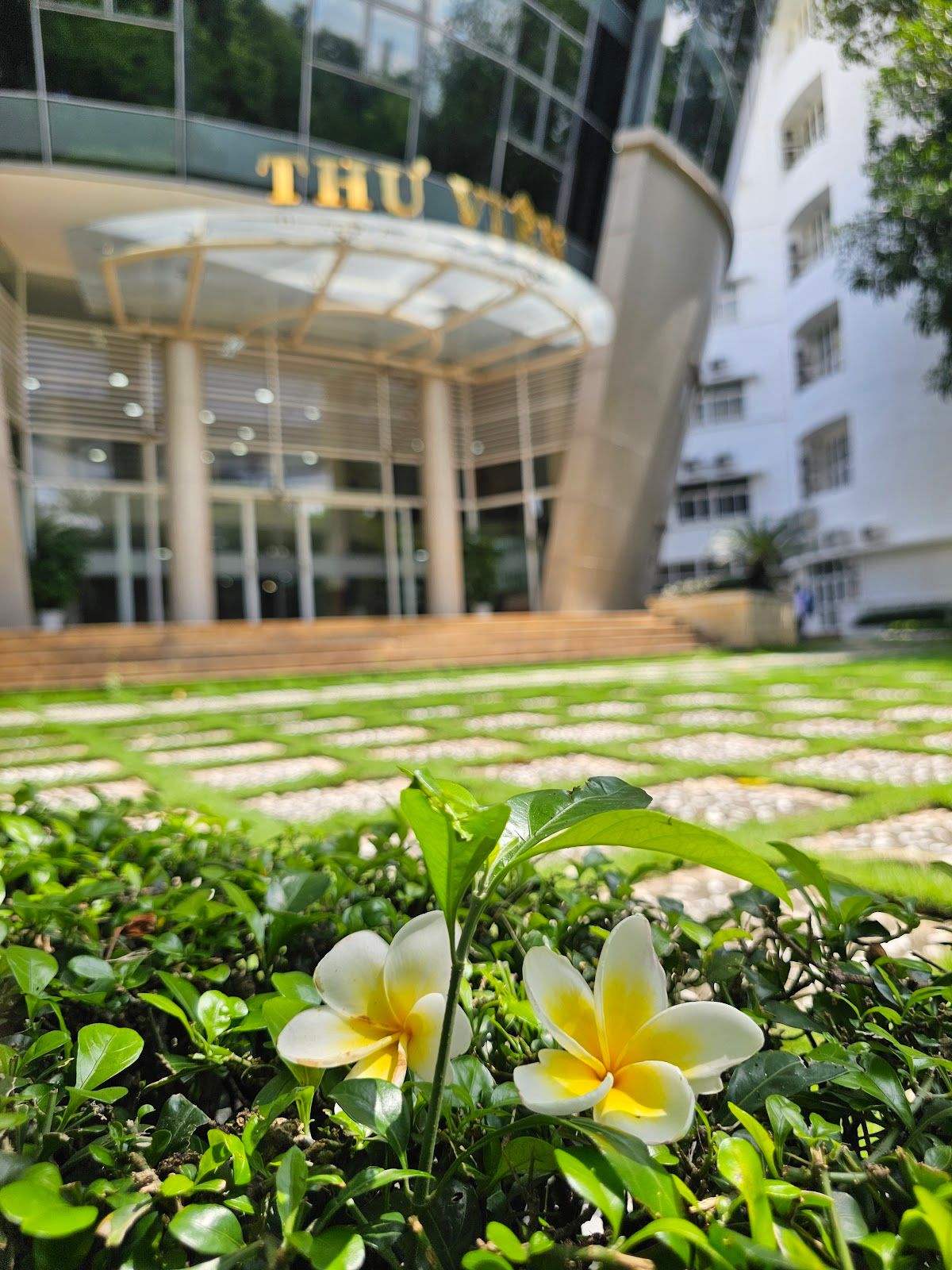 Sân bóng Trường Đại học Ngân hàng TP. HCM 4