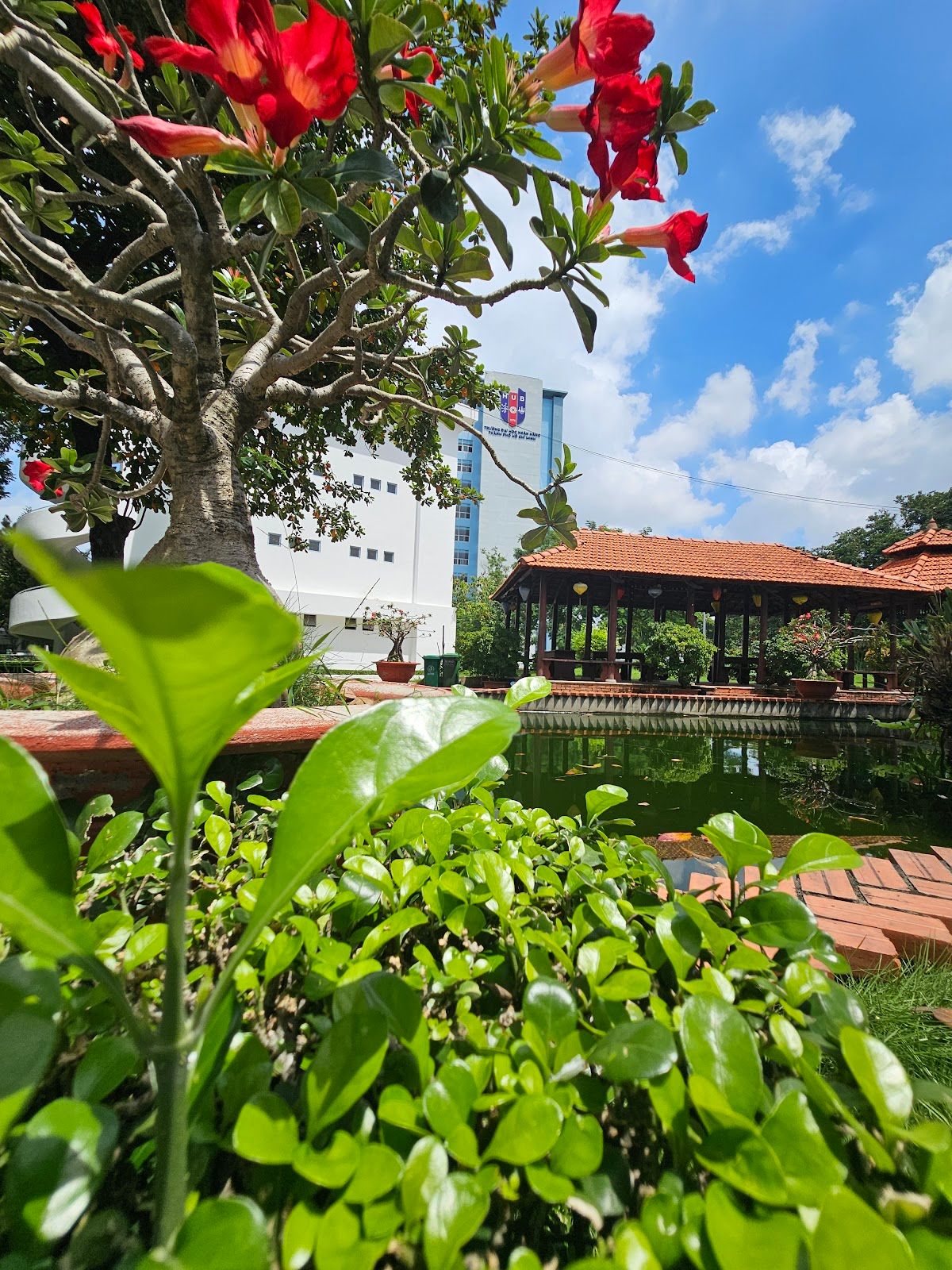 Sân bóng Trường Đại học Ngân hàng TP. HCM 8